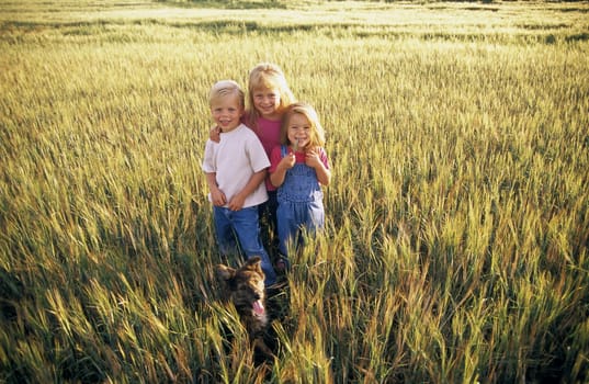 Three children standing in a field of wheat
