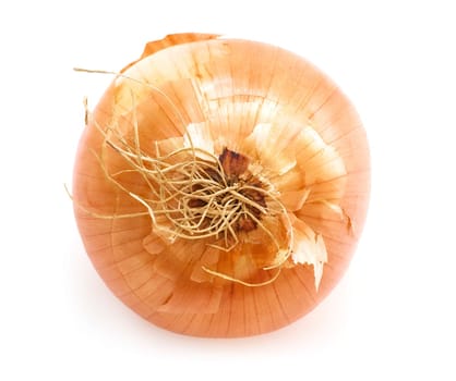 Onion