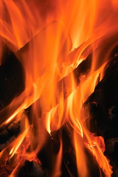 Fire Wood fire burning