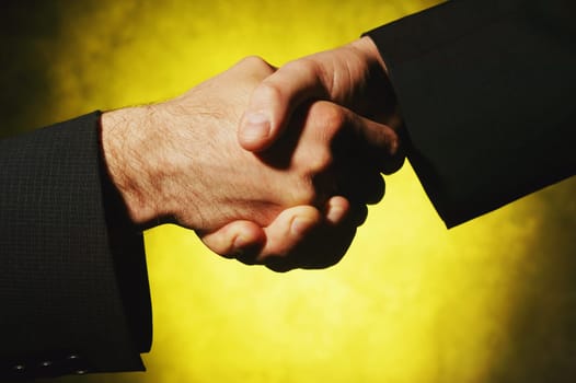 Businessmen shake hands