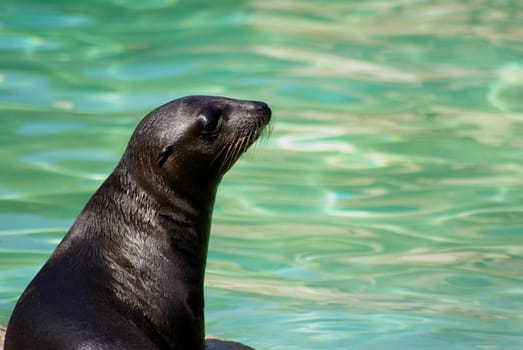 Recorded at the Berlin Zoo - Have fun watching
