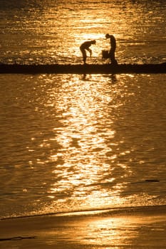 Boys fishing at golden sunset