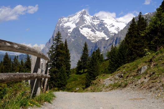 Hiking in Switzerland