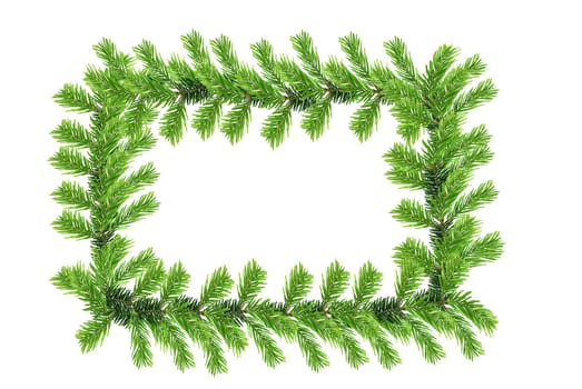 Fir branches