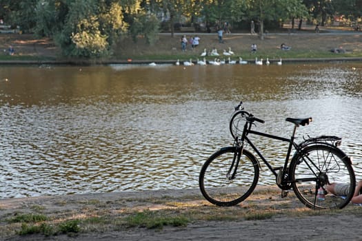 Summer in Berlin