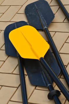 Kayak paddles