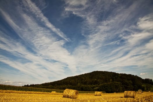 Straw like gold