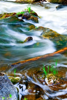 River through woods