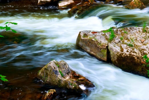 River through woods