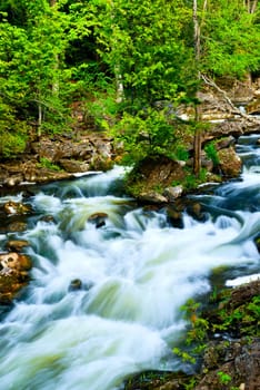 River through woods