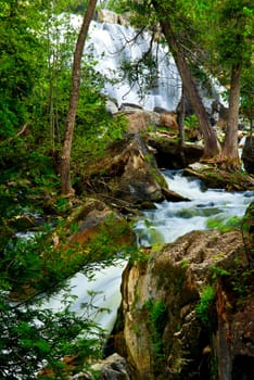 River through woods