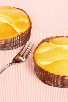 Two tasty cakes