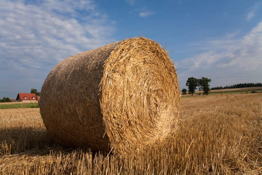 Straw bales