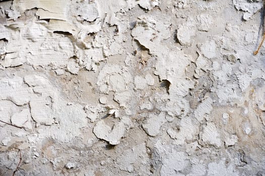 Pealing paint - wall