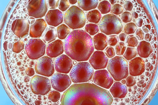 Bubbles