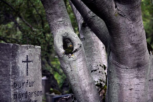 Cemetery