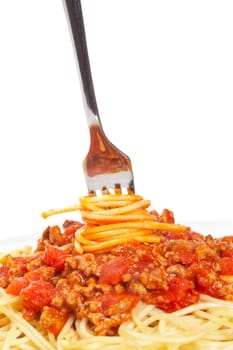 Rolled spaghetti on a fork