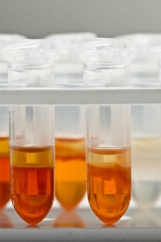 Laboratory09