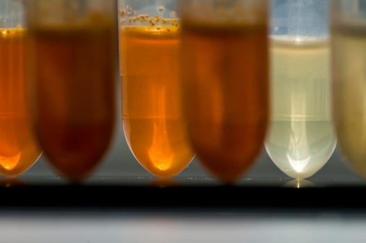 Laboratory07