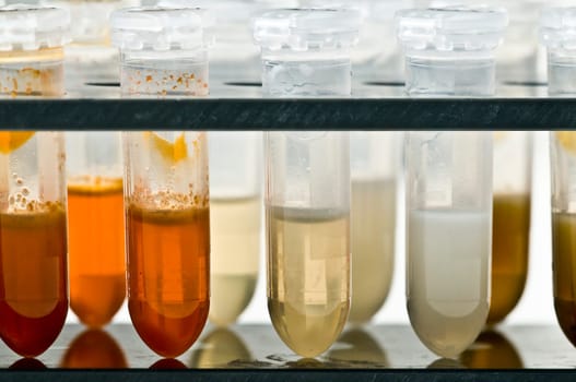 Laboratory08