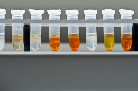 Laboratory12