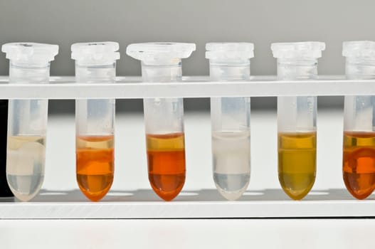 Laboratory11