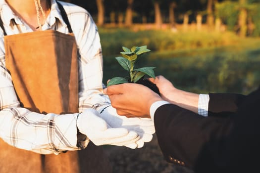 Eco-business company empower farmer with eco-friendly farming practice and clean agricultural technology. Cultivate sustainable future nurturing plants to grow and thrive. Gyre