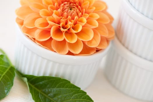 Muffin liners