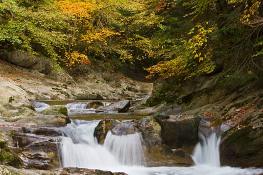Autumn falls