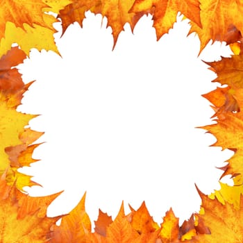 Autumn border