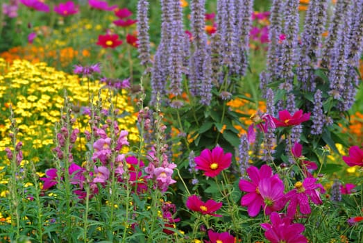 Flowerbed