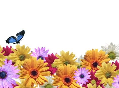 Nature background