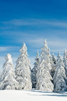 Winter200916