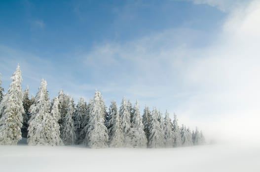 Winter200918