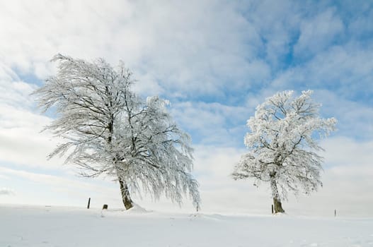Winter200915