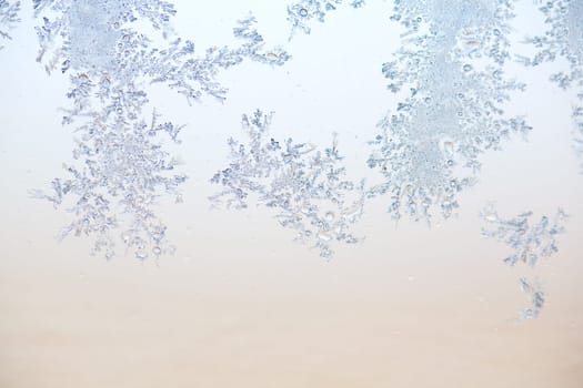 Ice Flowers