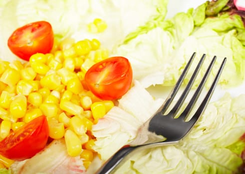 Salad closeup
