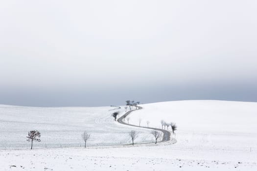 Road and fields in winter