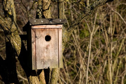 Self-made nest box