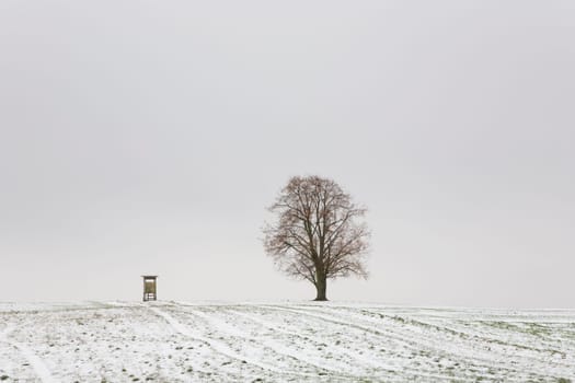 Tree and high seat in winter