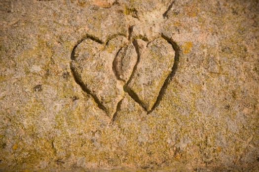 Hearts in the Stone
