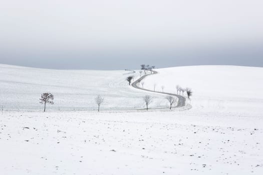 Road and fields in winter