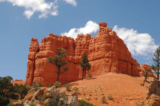 Red Canyon