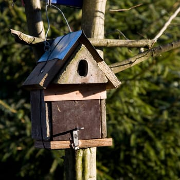 Self-made nest box