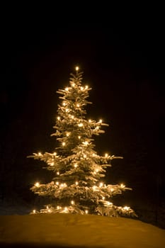 Christmas tree with lighting
