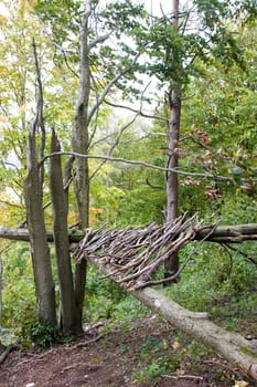 Landart - Nature art on the Staffelberg