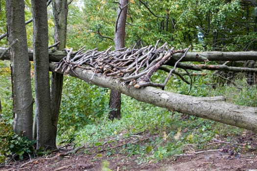 Landart - Nature art on the Staffelberg