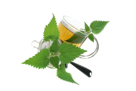 Nettle Tea