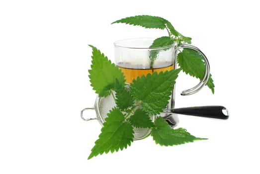 Nettle Tea