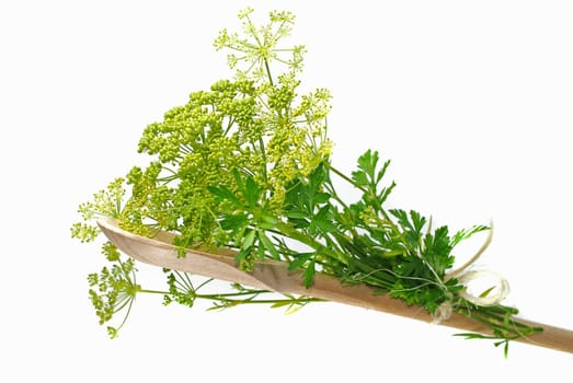 blooming parsley